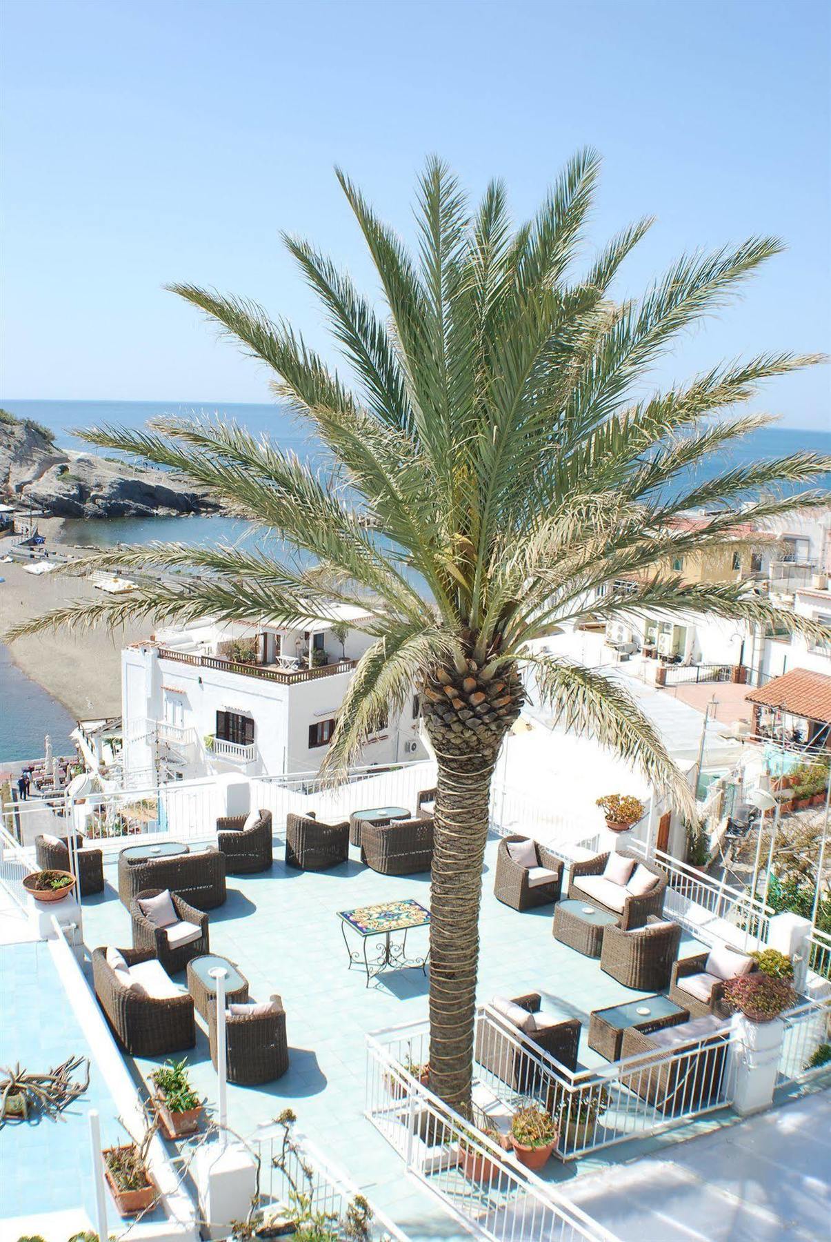 Hotel La Palma Sant'Angelo (Isola d'Ischia) Exterior foto